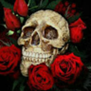 Meet your Posher, Cassandra